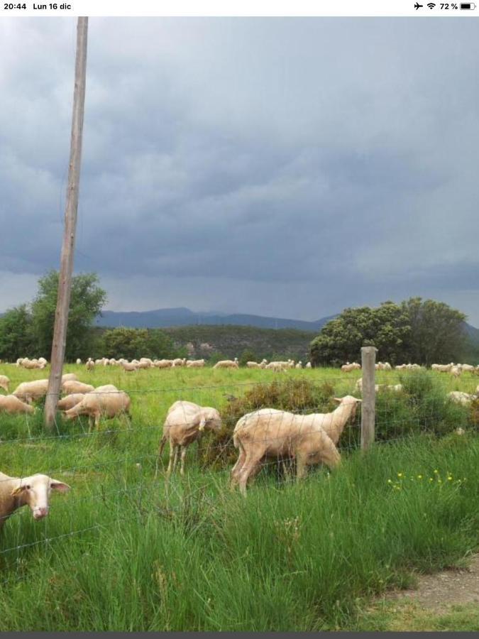 Vistas A La Montana En Un Pueblo Con Encanto. El Pueyo de Araguas Bagian luar foto