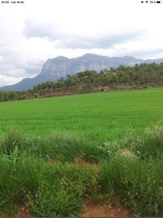 Vistas A La Montana En Un Pueblo Con Encanto. El Pueyo de Araguas Bagian luar foto